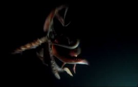 World’s Deadliest Animals video