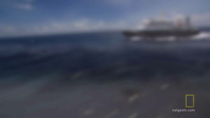 Five pieces to the puzzle video