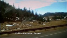 Road Trip to Yellowstone video