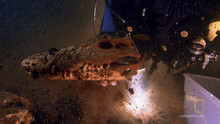 The lost world video