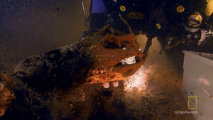 Diving the Labyrinth video