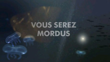 Les hommes - requins vidéo