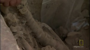 Обезглавен видео