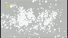 Death of the Universe