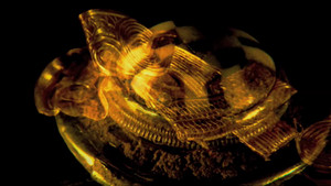 Modern day treasure video