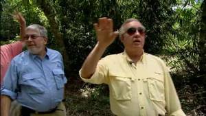 Vietnam Firefight video