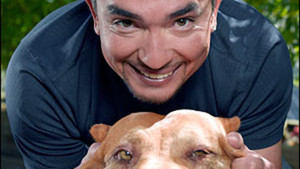 Cesar i jego pupile wideo