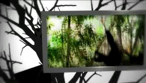 Human Ape video