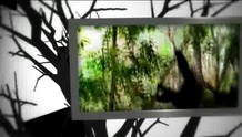 Human Ape video