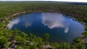 Plongée aux Bahamas vidéo