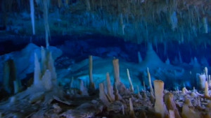 Le labyrinthe des Bahamas vidéo