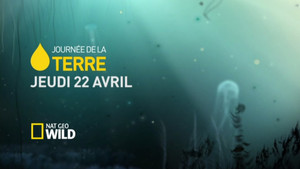 Journée de la Terre 2010 vidéo
