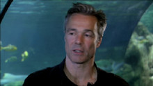 Hannes Jaenicke Video