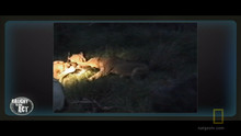 Смел боец видео
