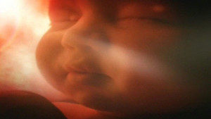 L'histoire d'une naissance vidéo