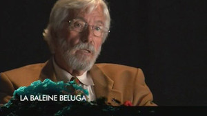 Interview - La baleine béluga vidéo