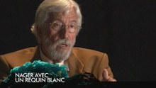 Interview - Nager avec un requin blanc vidéo