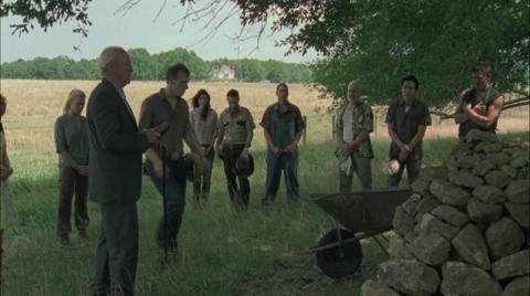 Cherokee Rose