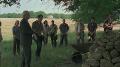 Cherokee Rose